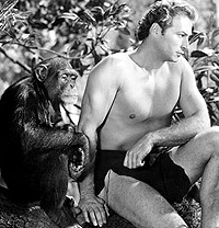 „Възходът на планетата на маймуните” отвори с бокс офис от 54 милиона през първия уикенд. Ето още няколко симпатични маймунки, които са ни забавлявали от екрана. Тарзан и маймуната Чита